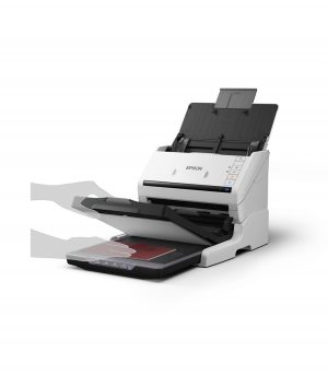 DS-530 EPIL