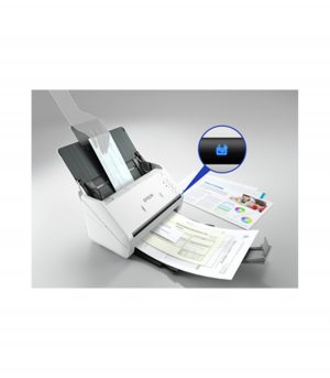 DS-530 EPIL