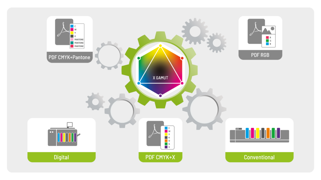 CGS ORIS X GAMUT RSG Solutions Pvt. Ltd. offering Color and